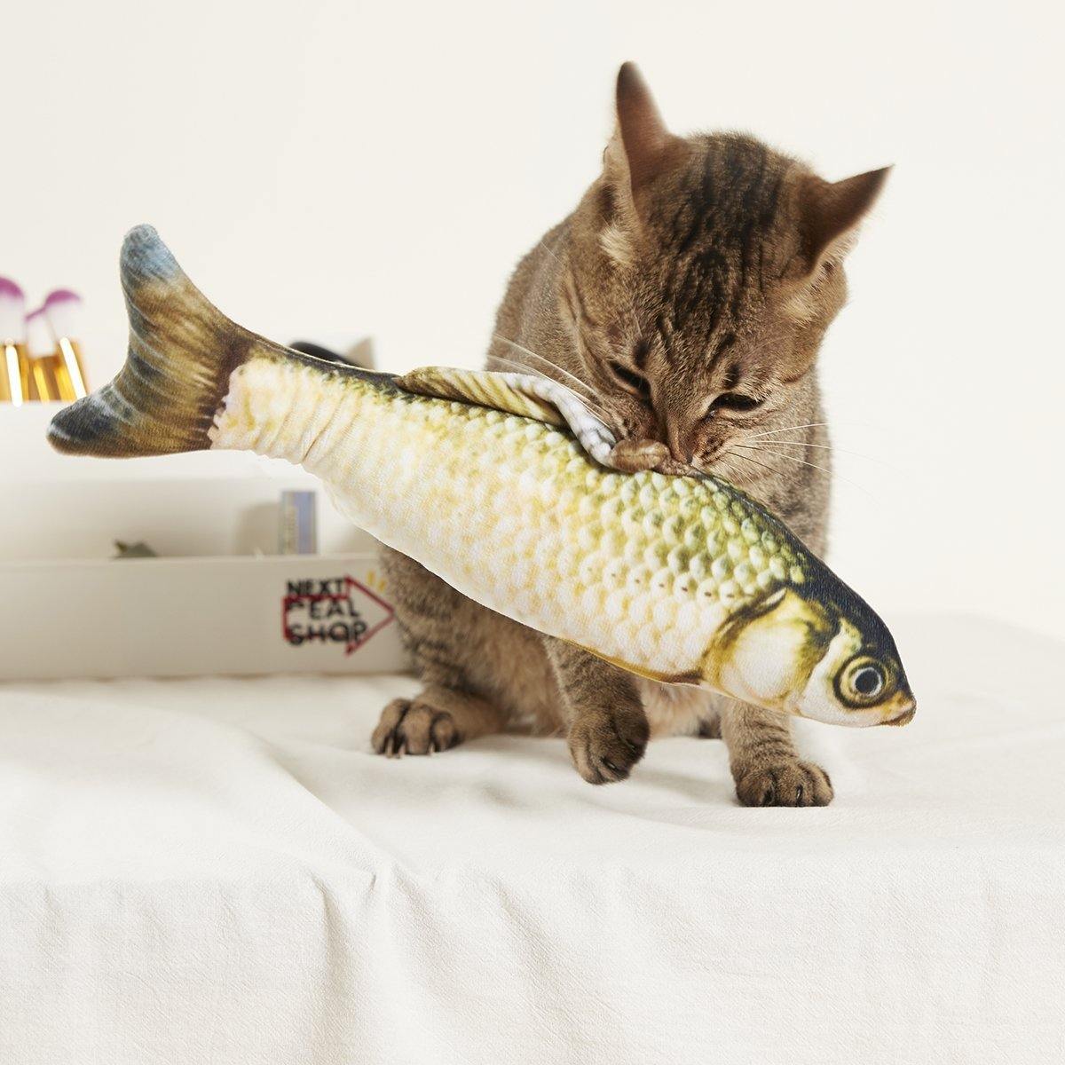 2 Pieces of Fish-shaped Cat Toy