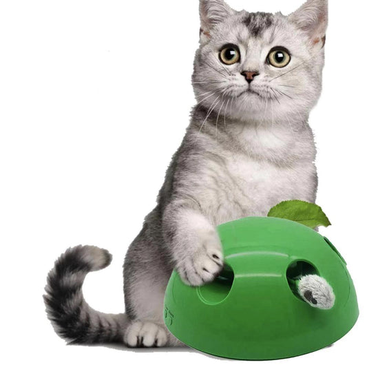 Jouet de mouvement pour chats