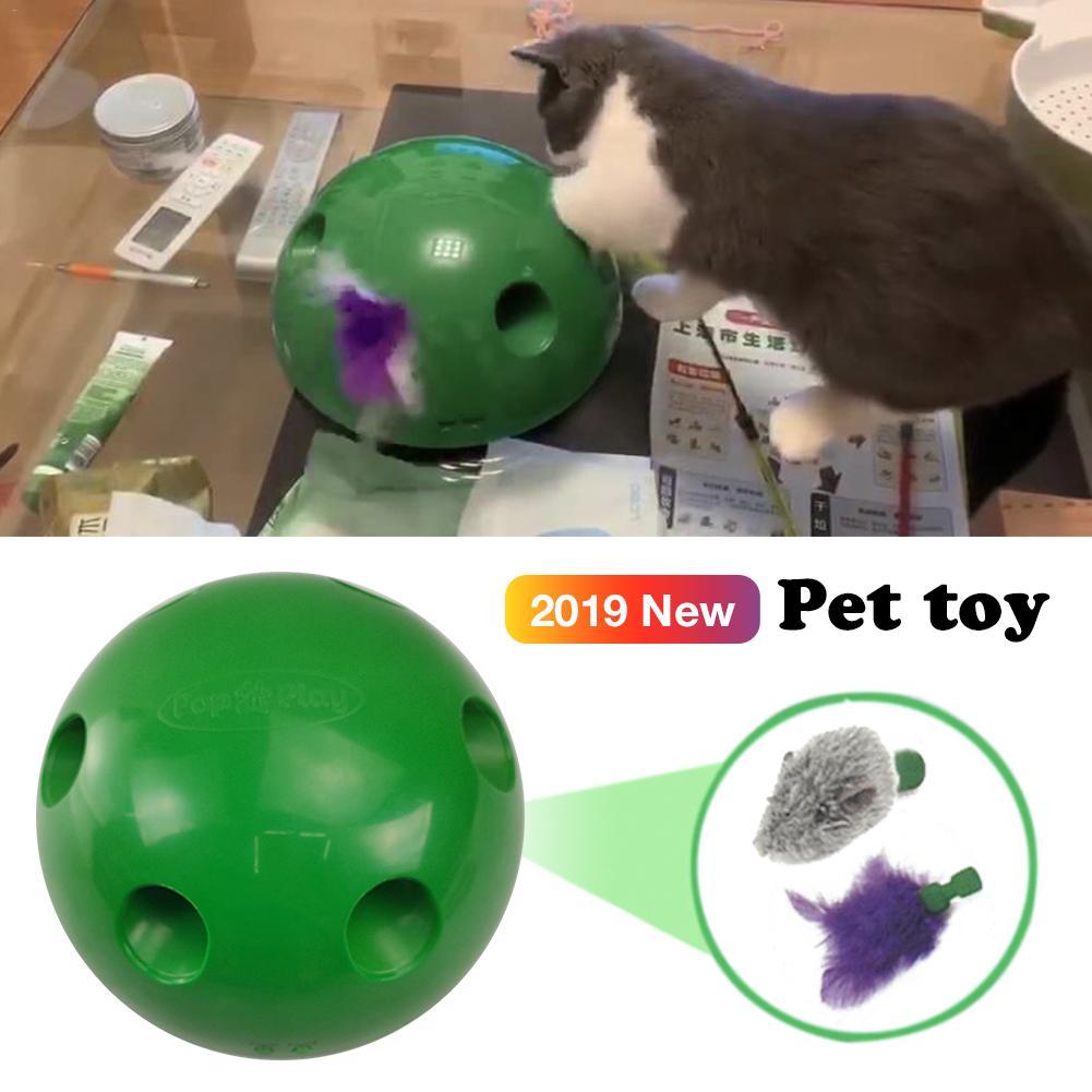 Jouet de mouvement pour chats