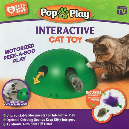 Jouet de mouvement pour chats