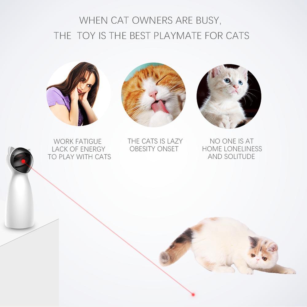 Stimulating Exercise Toy for Cats