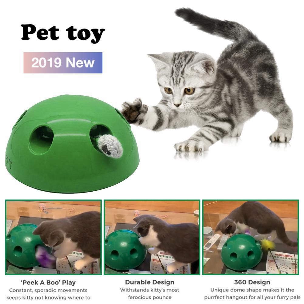 Jouet de mouvement pour chats