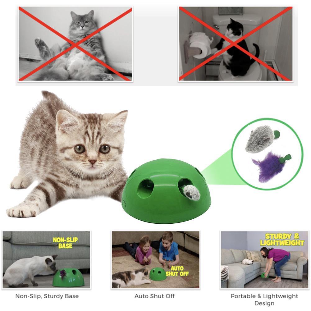 Jouet de mouvement pour chats
