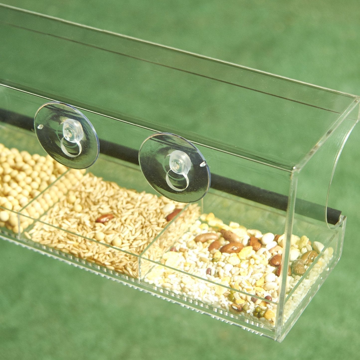 Mangeoire à oiseaux pour fenêtre - Observation transparente des oiseaux sauvages
