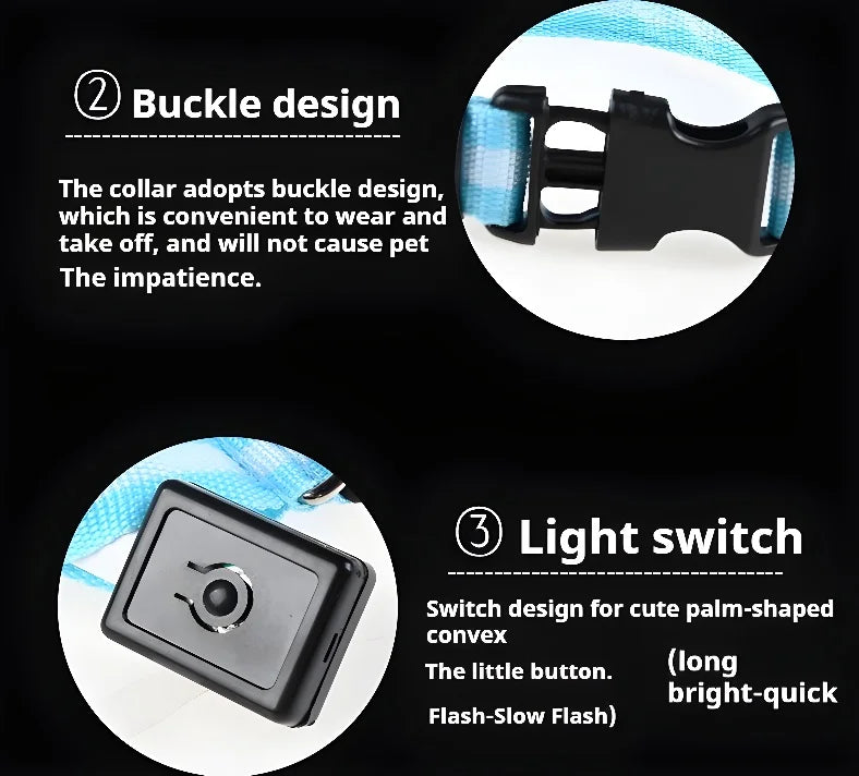 LED Nylon Dog Collar – Night Safety Flashing Glow & Fluorescent Leash for Pets