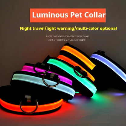 LED Nylon Dog Collar – Night Safety Flashing Glow & Fluorescent Leash for Pets