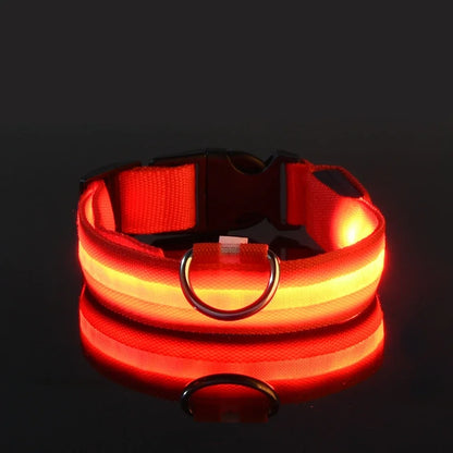 LED Nylon Dog Collar – Night Safety Flashing Glow & Fluorescent Leash for Pets