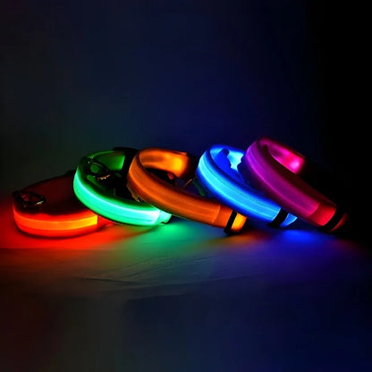 LED Nylon Dog Collar – Night Safety Flashing Glow & Fluorescent Leash for Pets