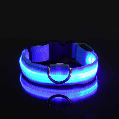 LED Nylon Dog Collar – Night Safety Flashing Glow & Fluorescent Leash for Pets