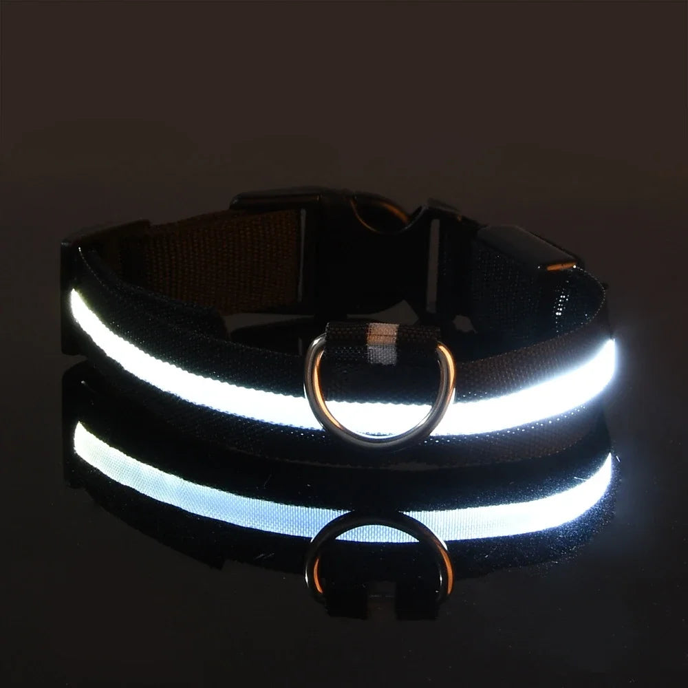 LED Nylon Dog Collar – Night Safety Flashing Glow & Fluorescent Leash for Pets