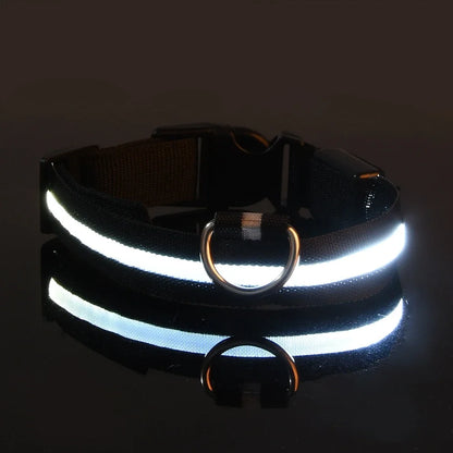 LED Nylon Dog Collar – Night Safety Flashing Glow & Fluorescent Leash for Pets