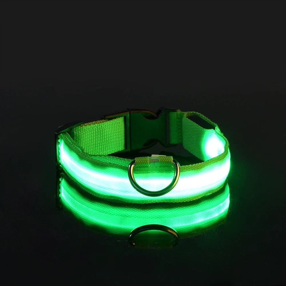 LED Nylon Dog Collar – Night Safety Flashing Glow & Fluorescent Leash for Pets