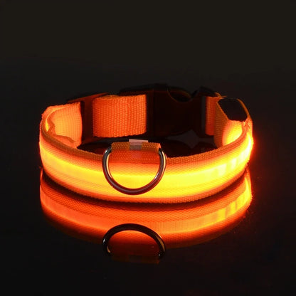LED Nylon Dog Collar – Night Safety Flashing Glow & Fluorescent Leash for Pets