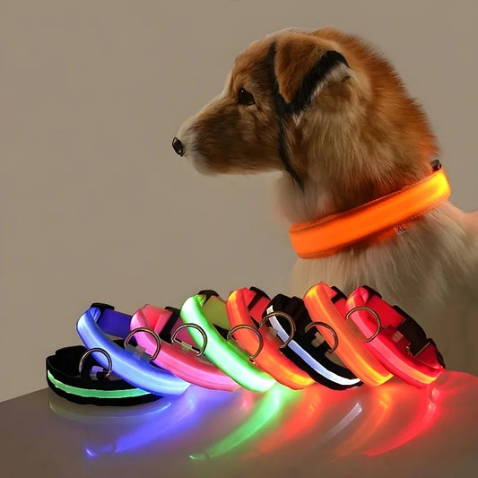 LED Nylon Dog Collar – Night Safety Flashing Glow & Fluorescent Leash for Pets