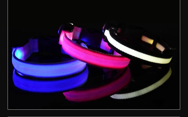LED Nylon Dog Collar – Night Safety Flashing Glow & Fluorescent Leash for Pets