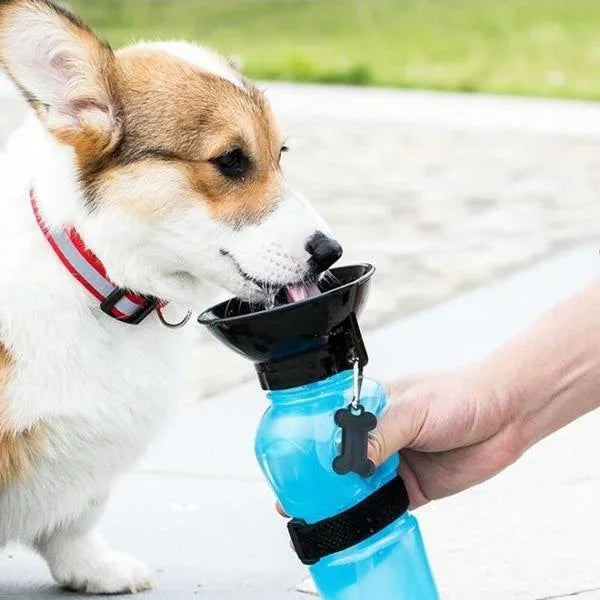 500ml Portable Dog Water Bottle – Travel Cup & Feeder for Dogs