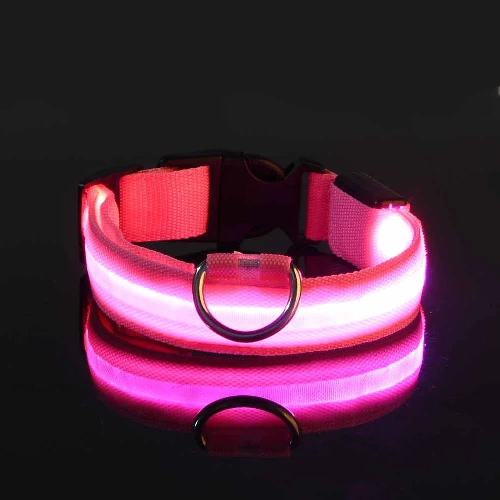 LED Nylon Dog Collar – Night Safety Flashing Glow & Fluorescent Leash for Pets