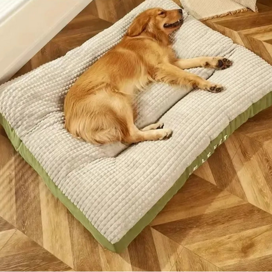 Warm Dog Bed – Soft Fleece Blanket & Detachable Cushion for Pets