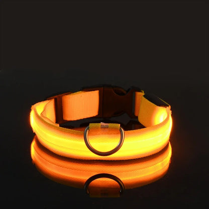 LED Nylon Dog Collar – Night Safety Flashing Glow & Fluorescent Leash for Pets