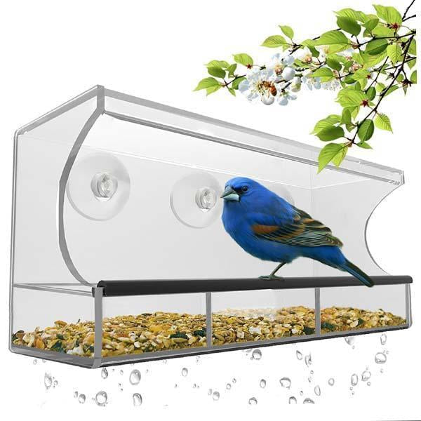 Mangeoire à oiseaux pour fenêtre - Observation transparente des oiseaux sauvages
