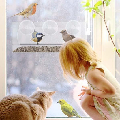 Mangeoire à oiseaux pour fenêtre - Observation transparente des oiseaux sauvages