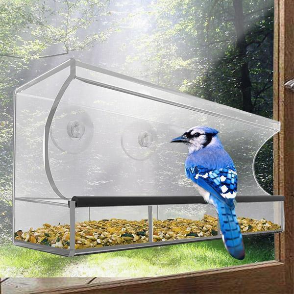 Mangeoire à oiseaux pour fenêtre - Observation transparente des oiseaux sauvages