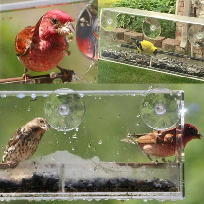 Mangeoire à oiseaux pour fenêtre - Observation transparente des oiseaux sauvages
