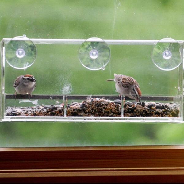 Mangeoire à oiseaux pour fenêtre - Observation transparente des oiseaux sauvages