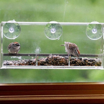 Mangeoire à oiseaux pour fenêtre - Observation transparente des oiseaux sauvages