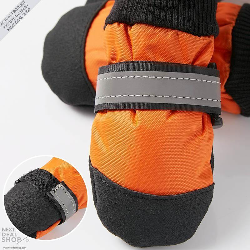 Botas para mascotas: ¡protege a tu mejor amigo sin importar la temporada!