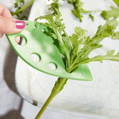 2 piezas de desfoliador de hierbas y verduras
