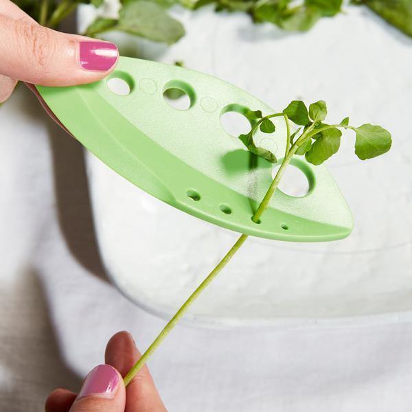 2 piezas de desfoliador de hierbas y verduras