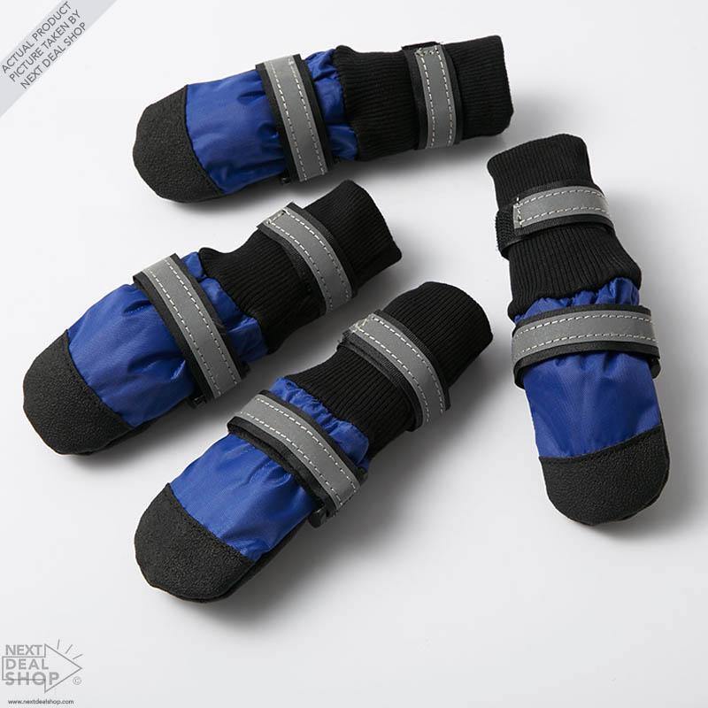 Botas para mascotas: ¡protege a tu mejor amigo sin importar la temporada!
