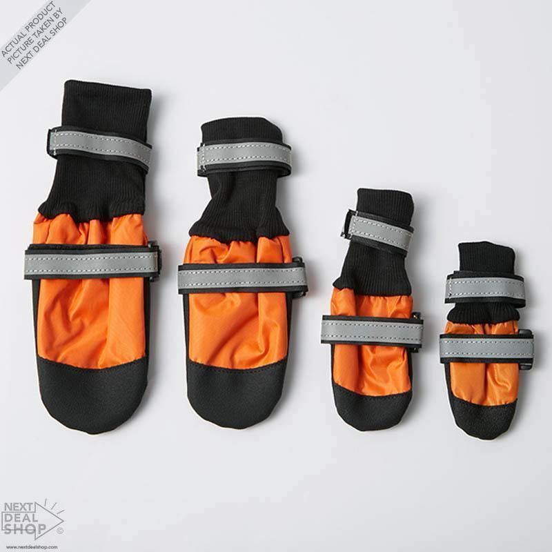 Botas para mascotas: ¡protege a tu mejor amigo sin importar la temporada!