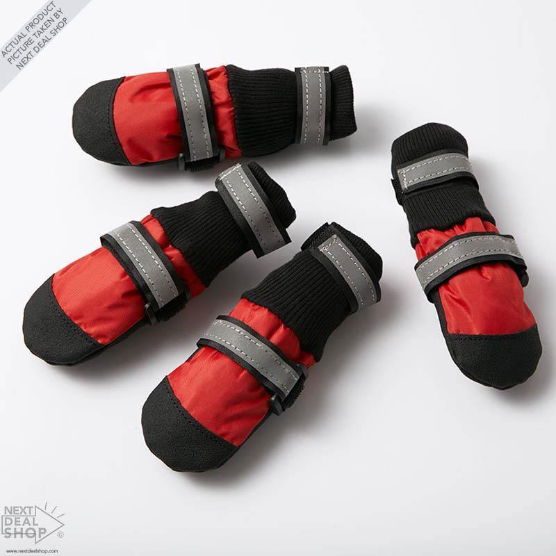 Botas para mascotas: ¡protege a tu mejor amigo sin importar la temporada!