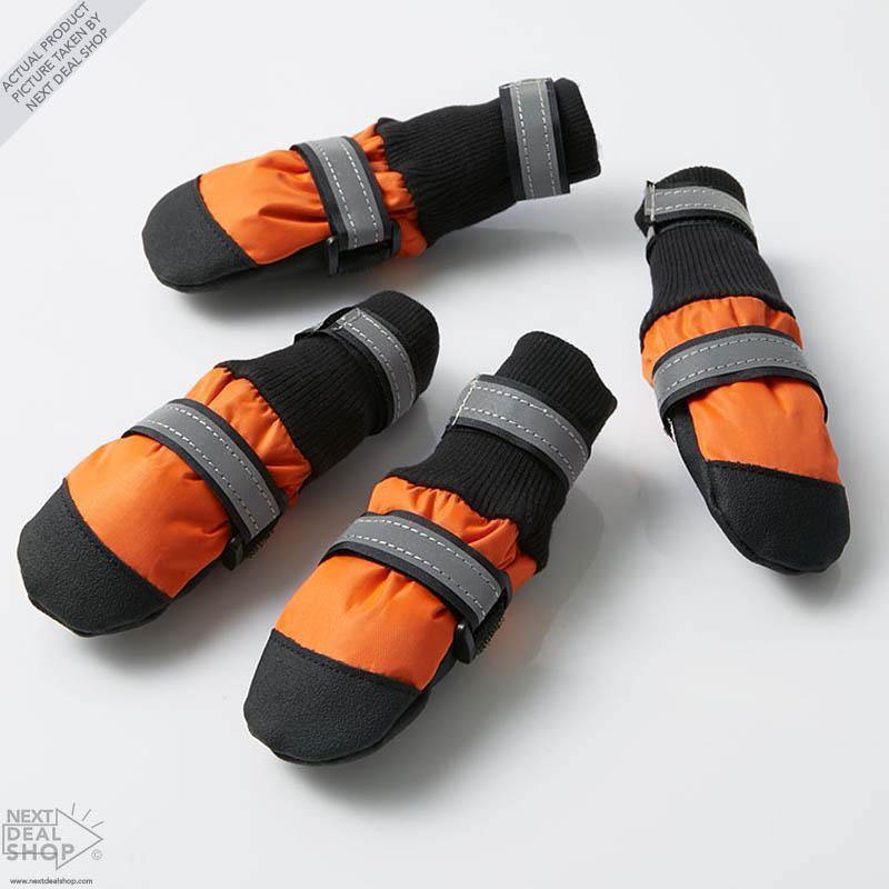 Botas para mascotas: ¡protege a tu mejor amigo sin importar la temporada!